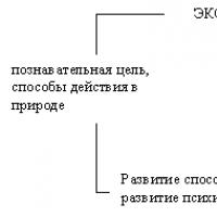 Групповые формы взаимодействия младших школьников